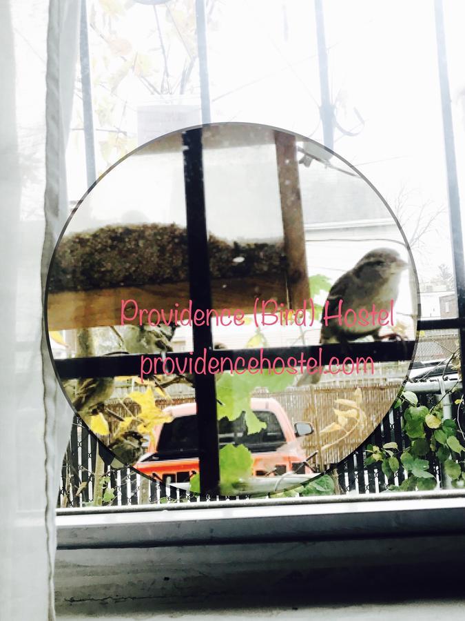 Providence Hostel & Guest House Exterior foto